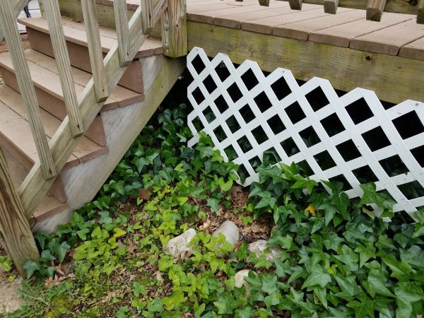 Deck Lattice Construction