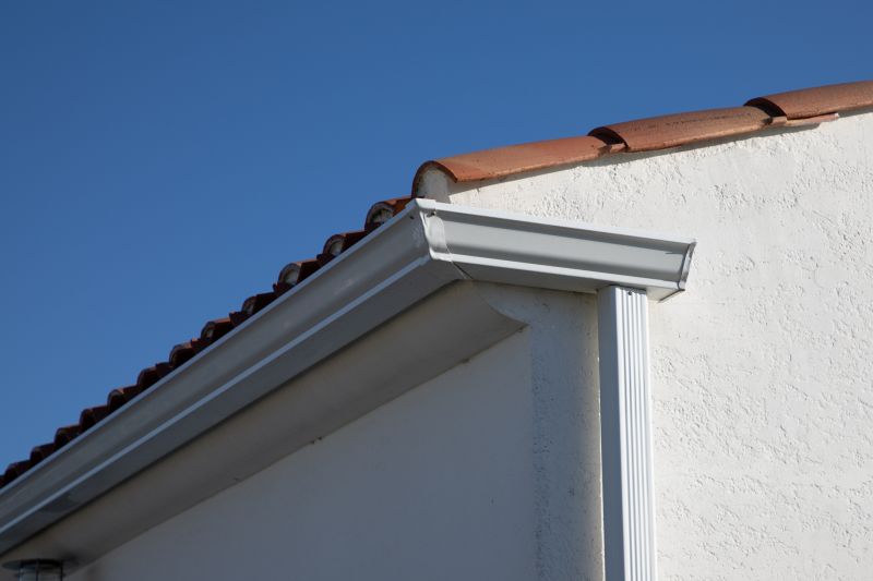 Roof Eaves Replacement