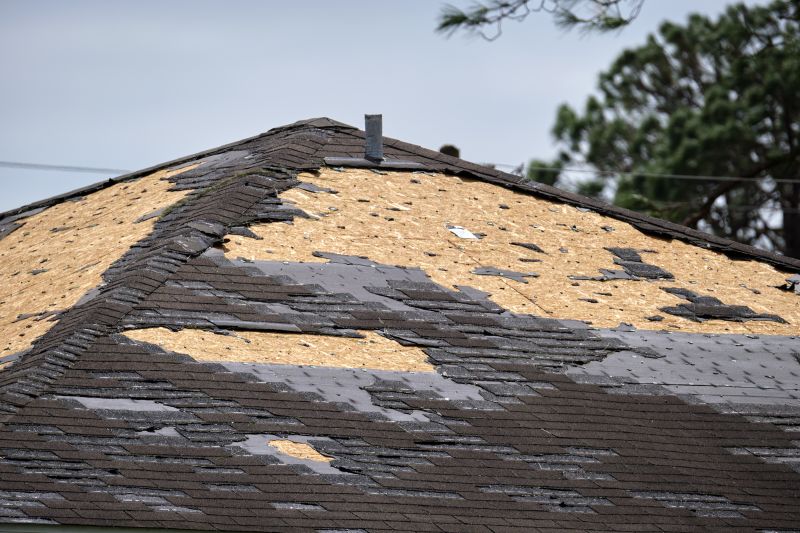 Damaged Eaves